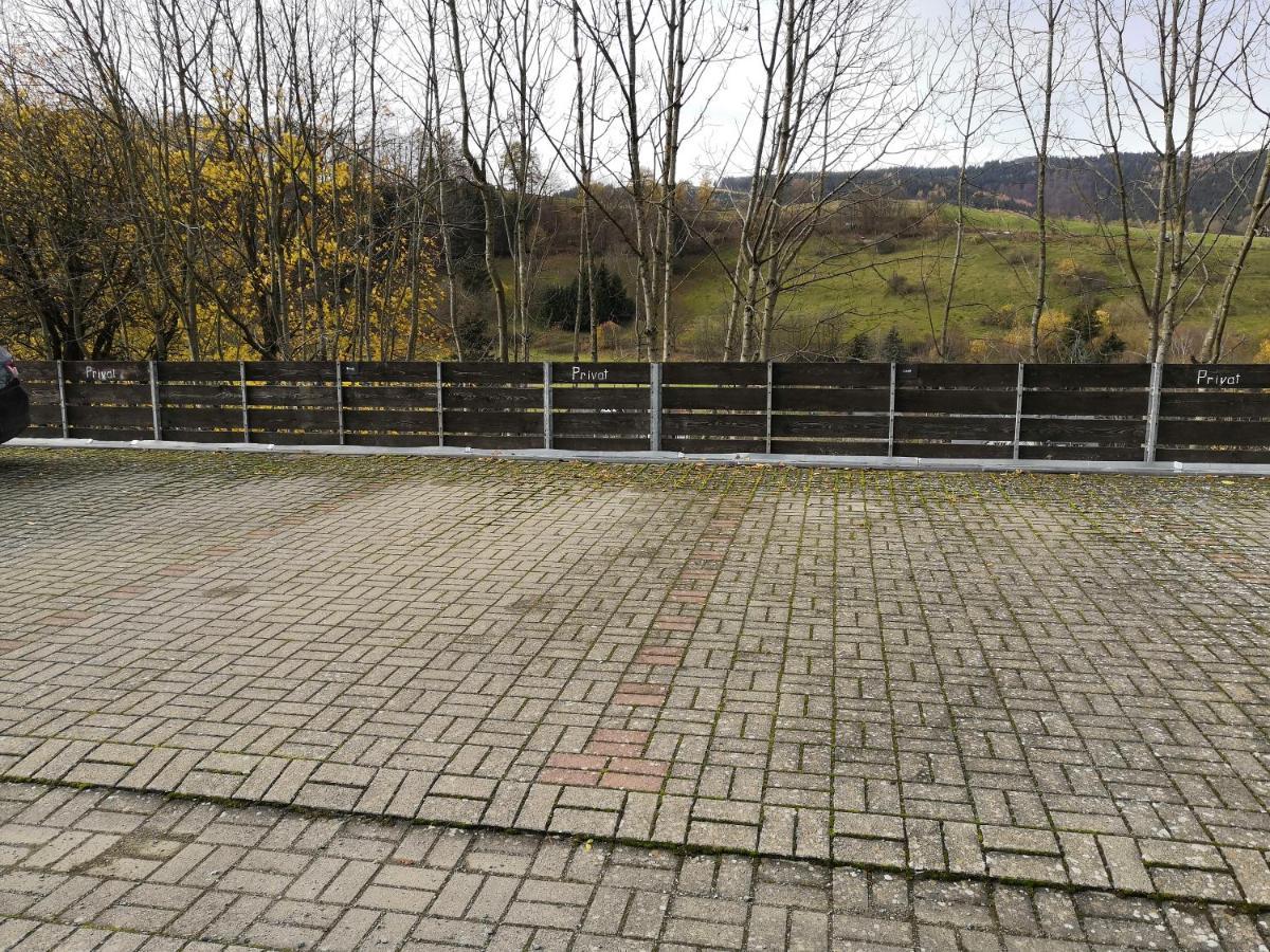 Gemutliche Ferienwohnung D'N Uitkijk - Willingen Willingen  Ngoại thất bức ảnh